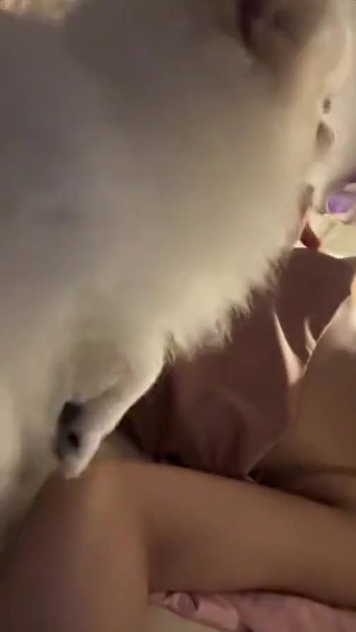 흑두 아니라고!! 빡쳐서 가슴인증 ㅋㅋ