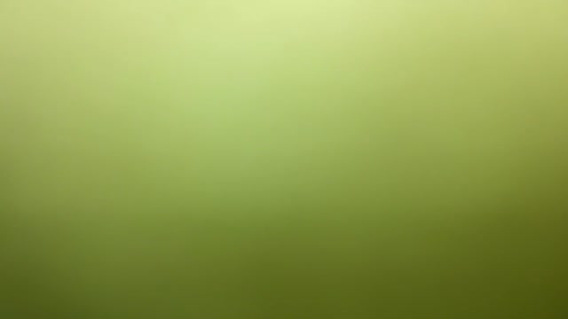 고양이녀 한일커플    (3)