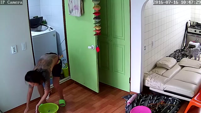 레즈커플 고양이 집사