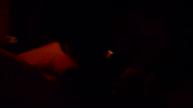 맹인녀 사진 8190장, 영상 53개 5.4G [풀팩]    (36)