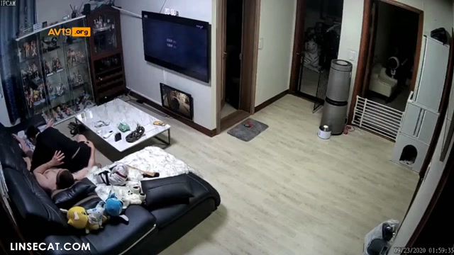 성생활 즐기는 부부들