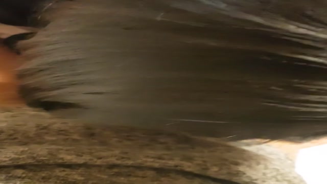 건실하게 포인트 벌기 1일차) 백맞고아    (2)